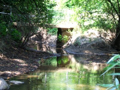 Seebach Einmündung in Usa