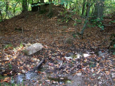 Seebach Leihgraben kreuzt Weg Brunnen unter Engelsborn