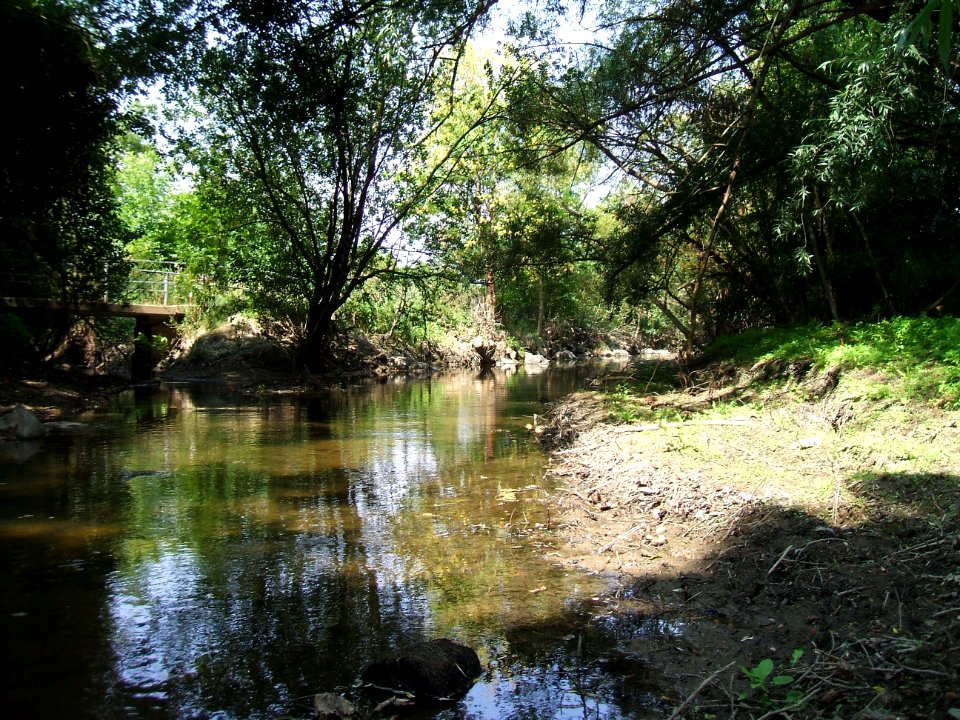 Seebach Einmündung in Usa 5