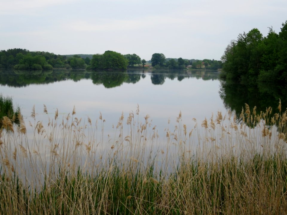 Seenlandschaft Moritzburg 1