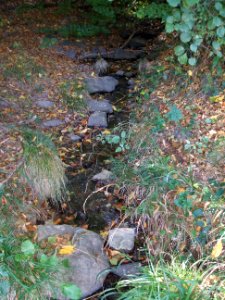 Seebach Leihgraben kommt Hang herab 1
