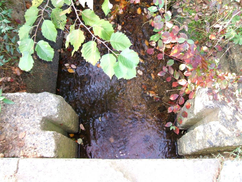 Seebach Leihgraben oberhalb Gartenstraße