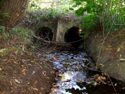 Seebach Leihgraben Einlass Hardbäumchesweg