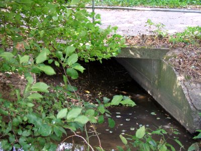 Seebach Einmündung Weilerwiesengraben