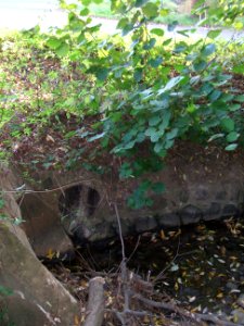 Seebach Leihgraben Einlass Straßengraben Hardbäumchesweg