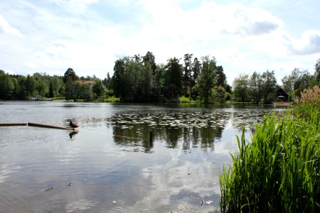 Segersjön, juni 2011b