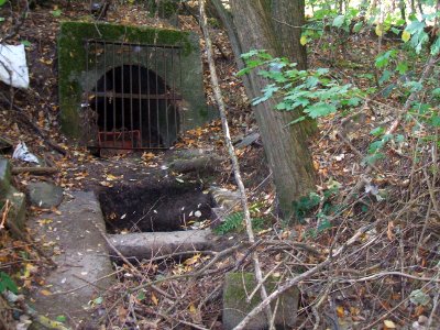Seebach Leihgraben südlicher Ast Auslass Depot