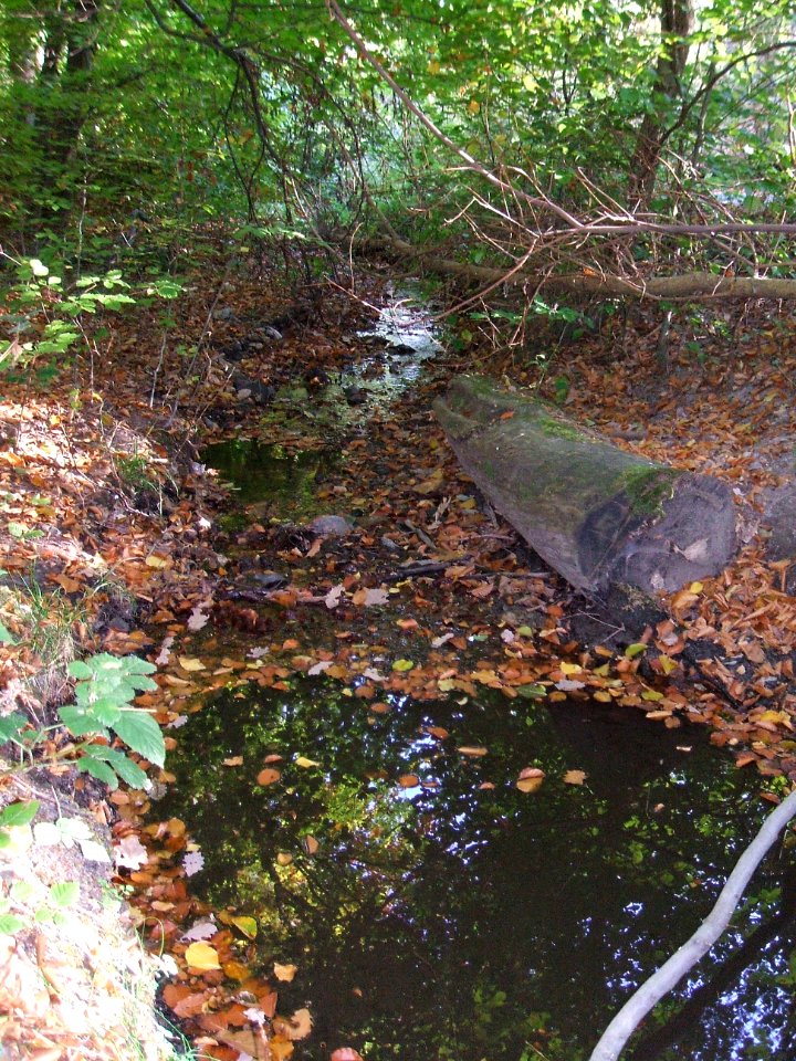 Seebach Leihgraben neben Usinger Straße 2
