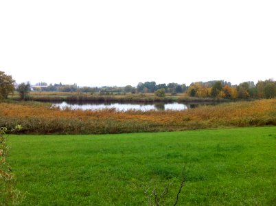 Seebener Weiher