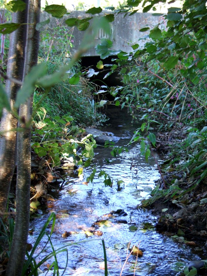 Seebach Leihgraben Brücke Grabeland Einlass