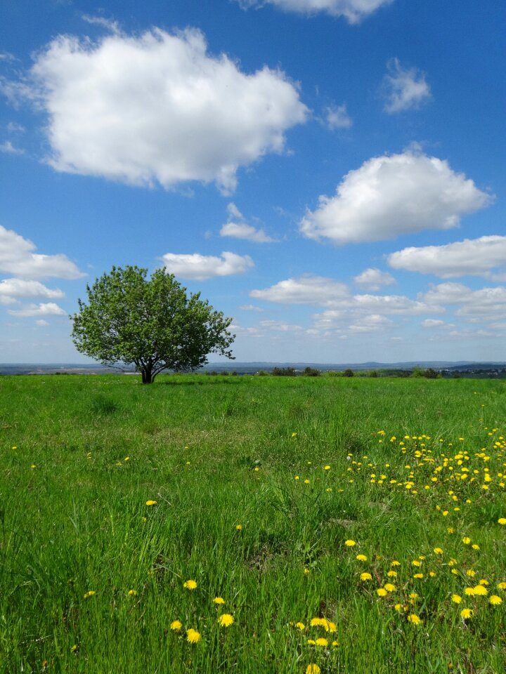 Green nature clouds