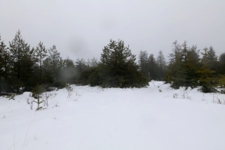 Seekopf 2020-03-10 23