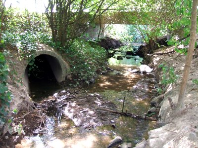Seebach unter Johann-Peter-Schäfer-Straße