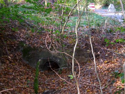 Seebach Leihgraben Durchlass Usinger Straßengraben