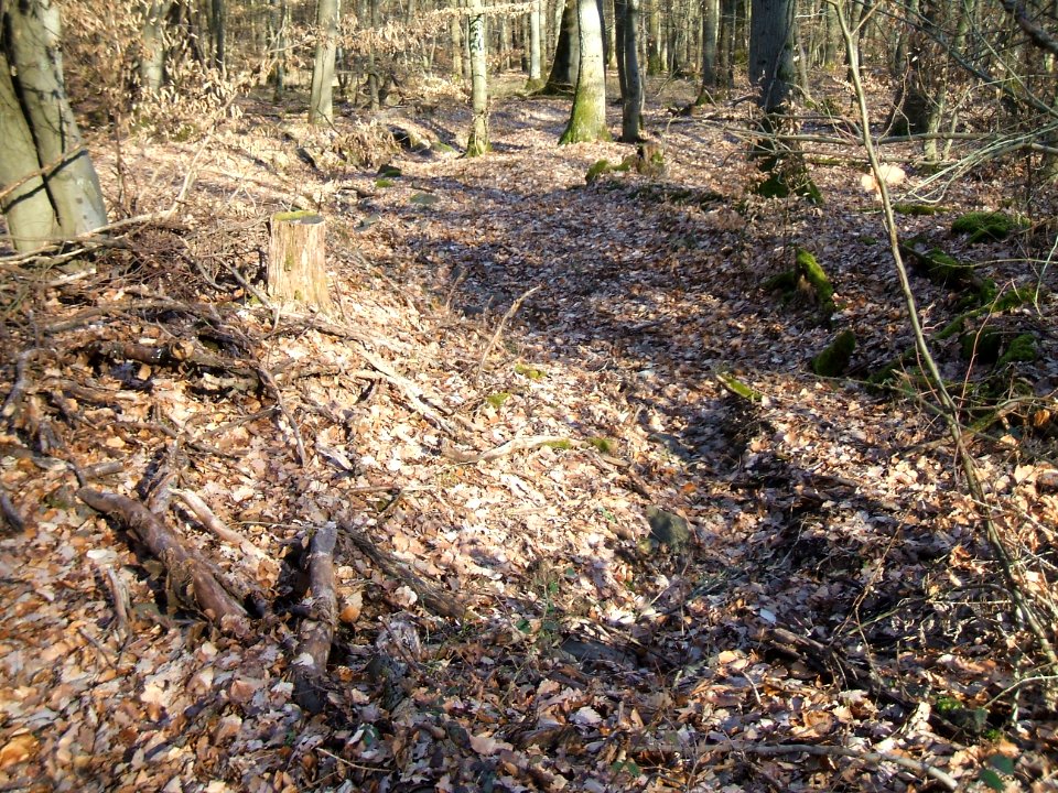 Seebach Leihgraben Usinger Straßengraben oben Querung Abfluss
