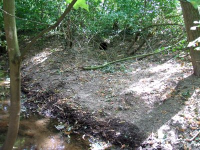 Seebach neben Seewiese mit Auslass Teich