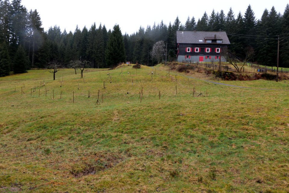Seebachhof 2020-03-10 04