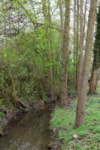 Seebach Taunus 2021-04-02 09