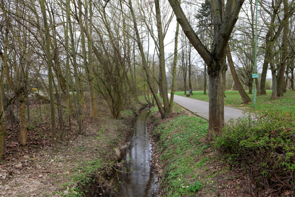 Seebach Taunus 2021-04-02 05