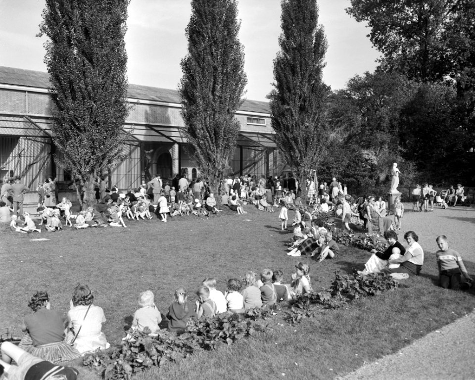 Septembermaand in Artis. Drukte op Woensdag, Bestanddeelnr 908-0097