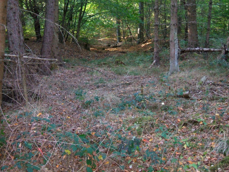 Seebach Leihgraben alter Weg am unteren Durchlass A 5