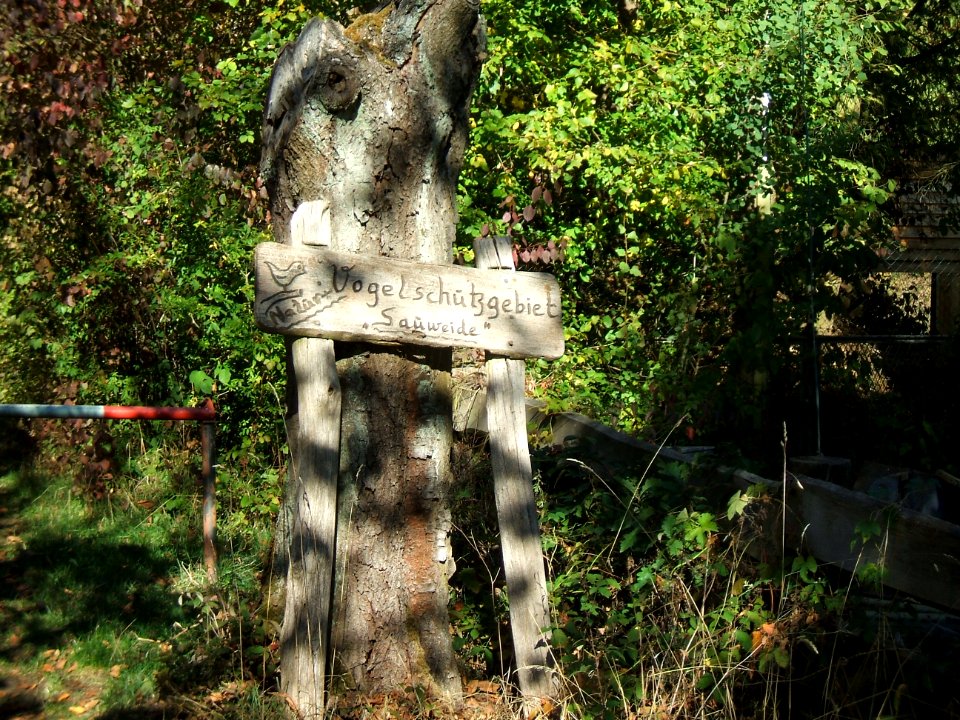 Seebach Leihgraben Sauweide