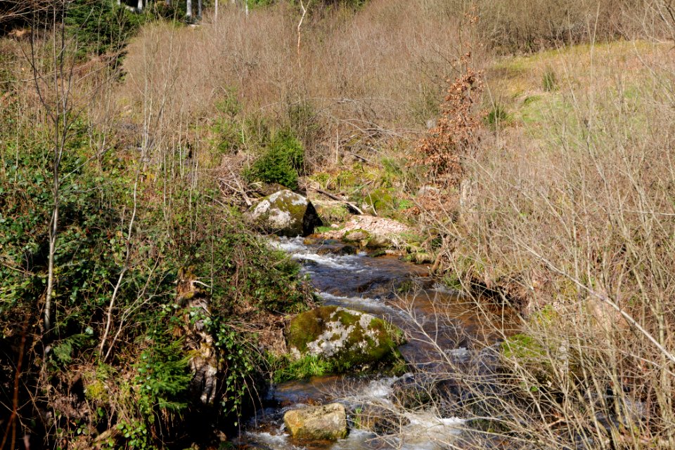 Seebach Northern Black Forest 2020-03-15 01