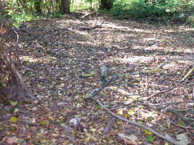 Seebach Leihgraben Wetterauer Werkstätten trockener oberer Teich