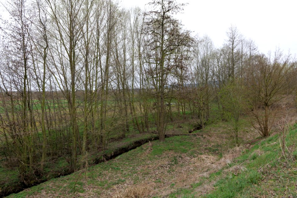 Seebach Taunus 2021-04-02 10
