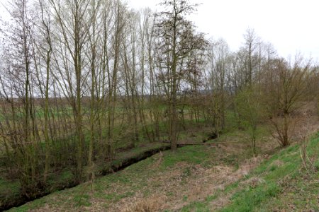 Seebach Taunus 2021-04-02 10