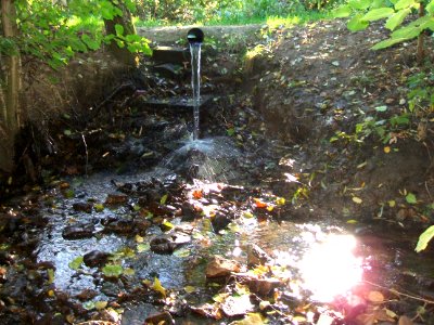 Seebach Leihgraben Zulauf Quellwäldchen