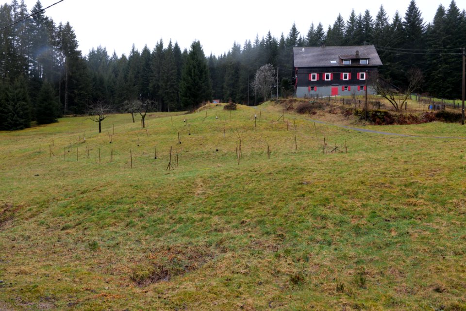 Seebachhof 2020-03-10 05