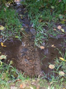 Seebach Leihgraben Zulauf im Quellwäldchen