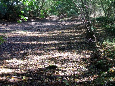 Seebach Leihgraben Wetterauer Werkstätten trockener Teich am Zulauf