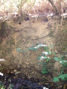 Seebach Leihgraben Steilufer Erdgas