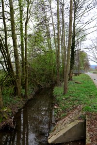 Seebach Taunus 2021-04-02 07