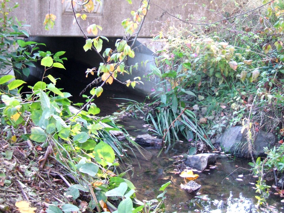 Seebach Leihgraben Brücke Grabeland Auslass