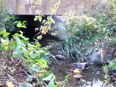 Seebach Leihgraben Brücke Grabeland Auslass