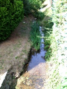 Seebach unterhalb Brunnenweg