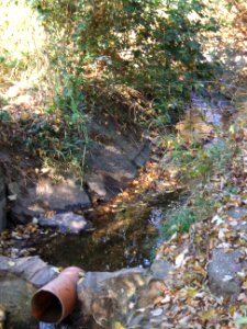 Seebach Leihgraben Zulauf Becken unter Auslass A 5