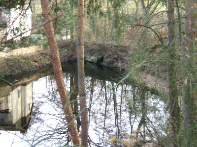 Seebach Leihgraben See Steinbruch