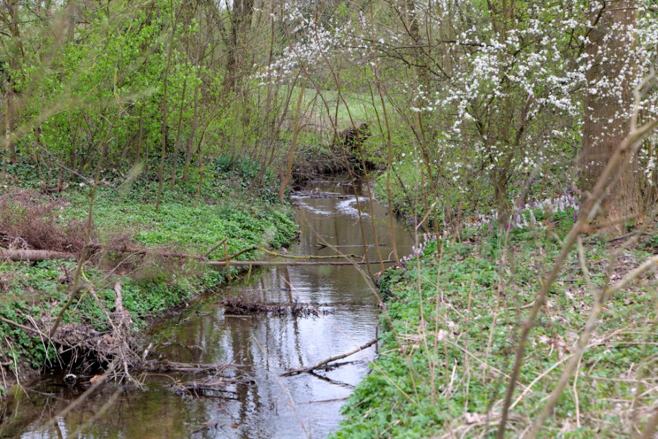 Seebach Taunus 2021-04-02 04