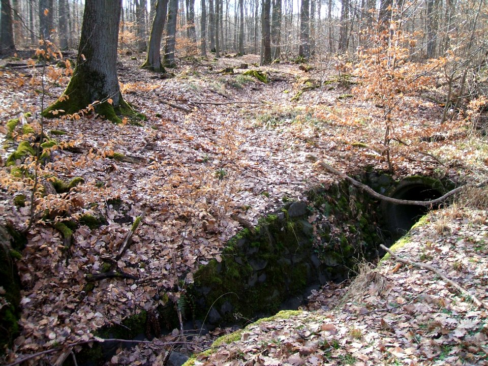 Seebach Leihgraben Usinger Straßengraben oben Durchlass Flutmulde