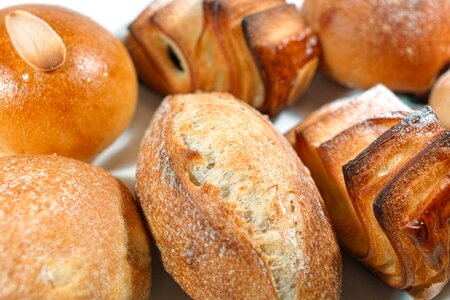 Bread wheat gourmet