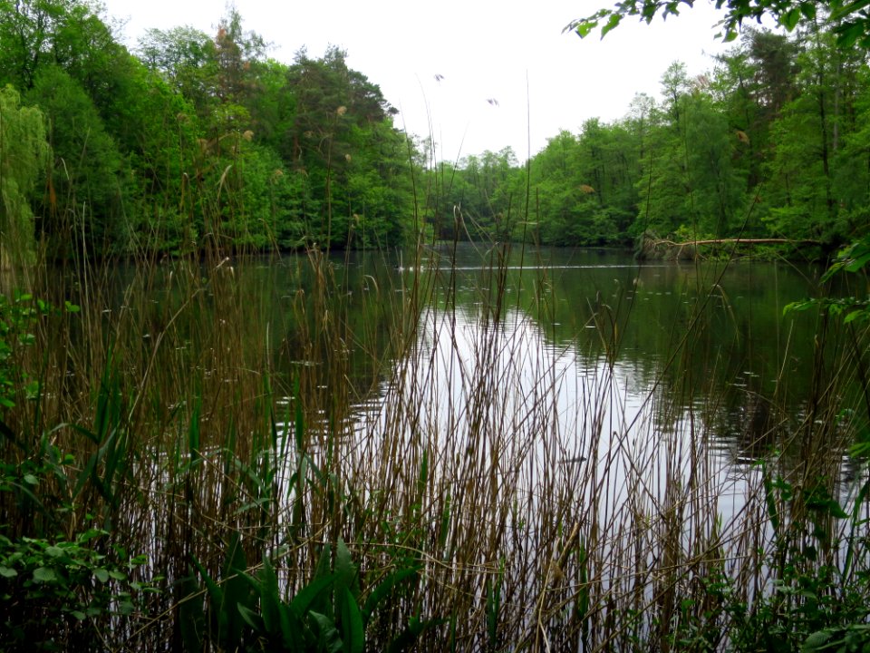 Seenlandschaft Moritzburg 3