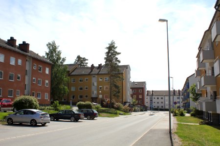 Segersjö, juni 2011