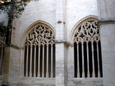 Segovia - Catedral, claustro 10
