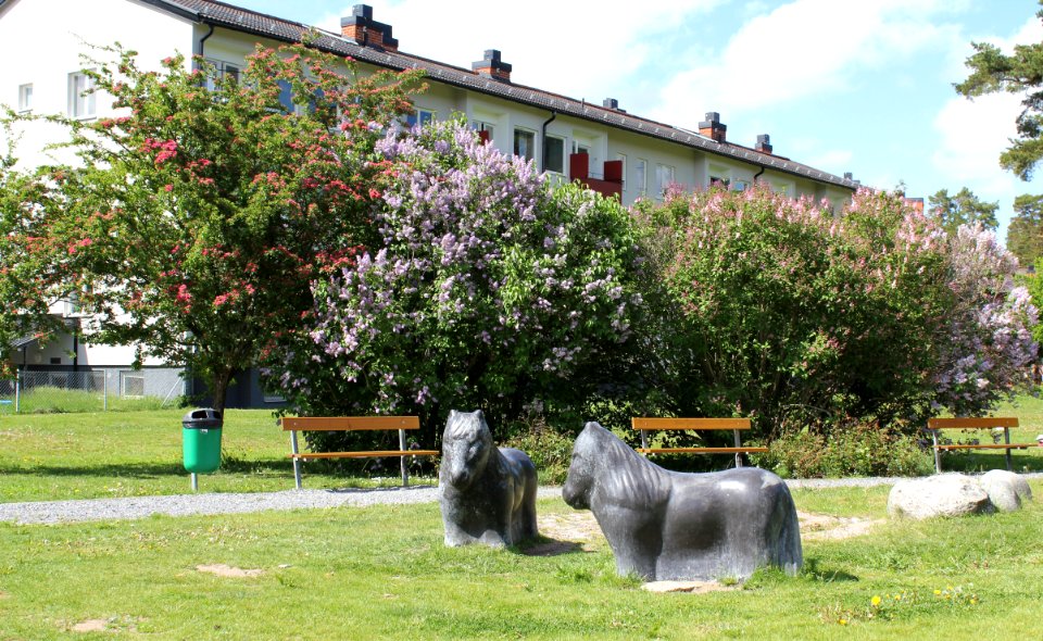 Segersjöparken, juni 2011