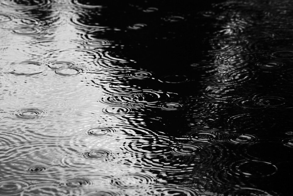 Liquid waters water feature