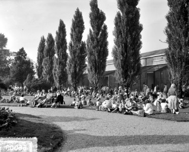 Septembermaand in Artis, Bestanddeelnr 908-0099